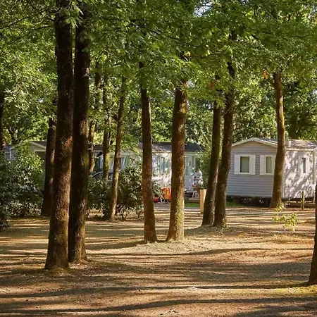 Mobil-home 5 Places Camping La Boissiere-de-Montaigu